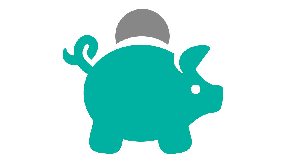 Icon image of a piggy bank with money