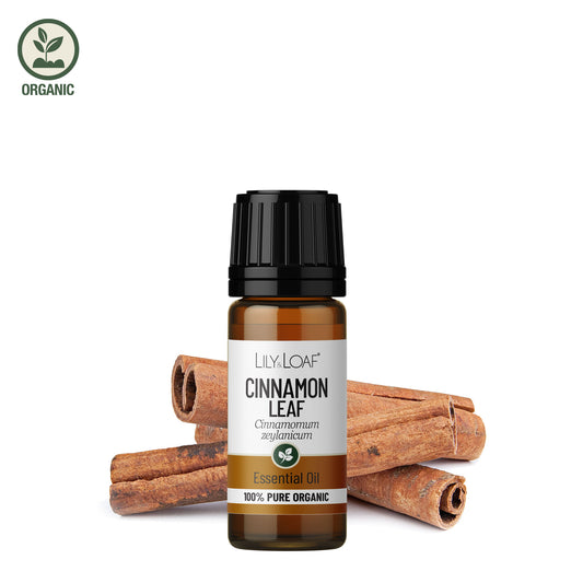 Cinnamon Leaf Organic Essential Oil front