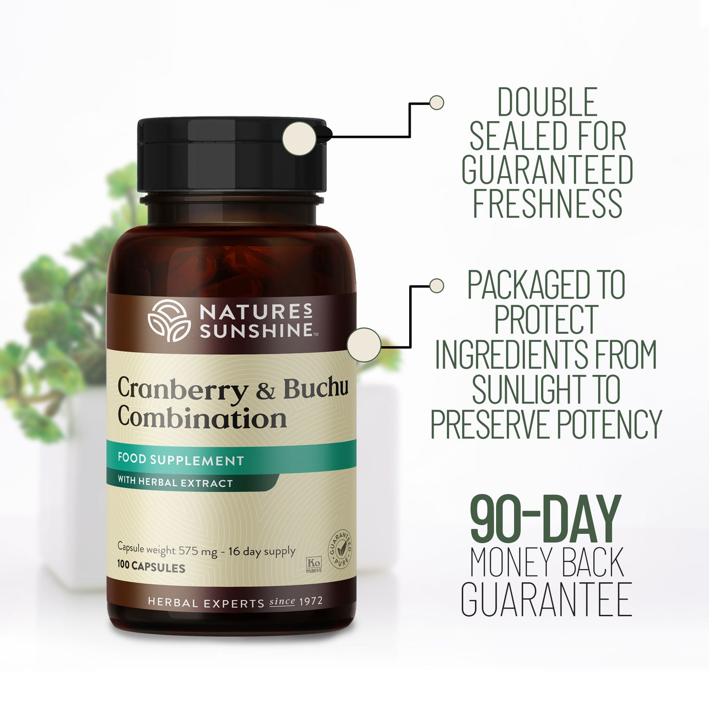 Cranberry & Buchu Combination  90 day money back guarantee