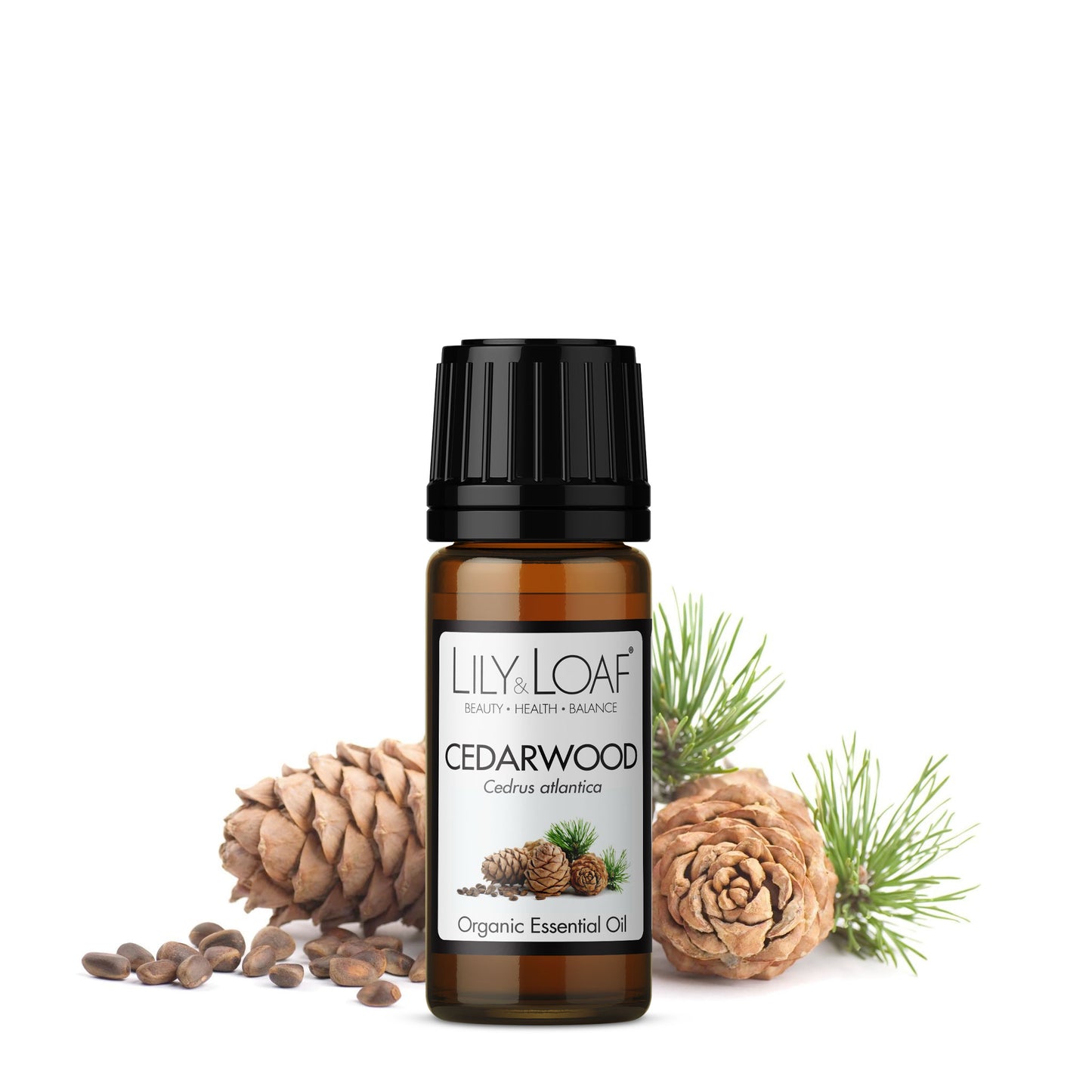 Cedarwood Atlas Organic Essential Oil in front of cedarwood pine cones and firs