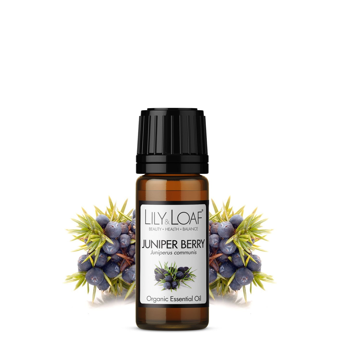 Lily & Loaf - Juniper Berry 10ml (Organic) - Essential Oil