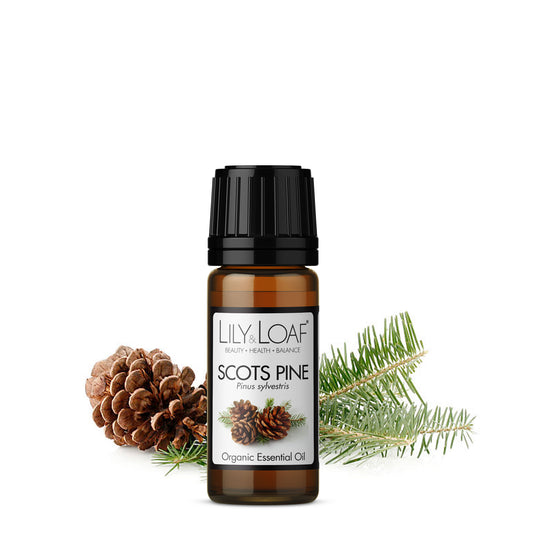 Lily & Loaf - Scots Pine 10ml (Organic) - Essential Oil