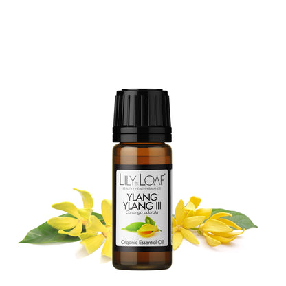 Ylang Ylang III organic essential oil with ylang ylang flowers